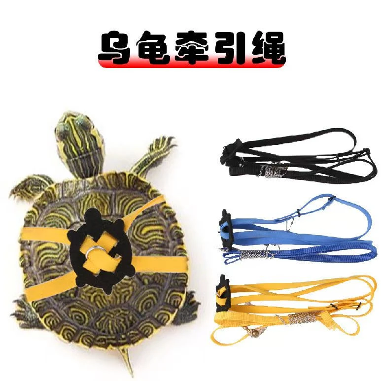 小宠乌龟陆龟鳖牵引绳外出牵引带皮质爬宠蜥蜴牵引绳溜龟训练绳