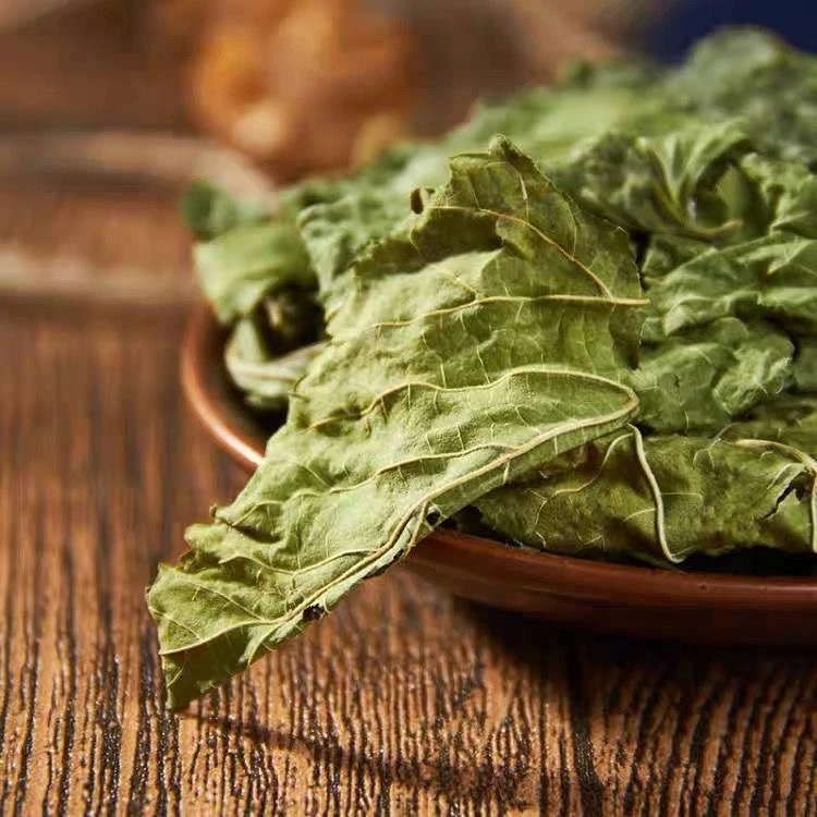 谯馨堂【霜后桑叶】新鲜 霜后桑叶茶粉 可搭茯苓莲子佛手