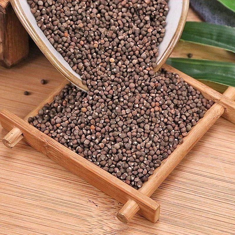 谯馨堂【紫苏子】正品优质精选中药材野生特级干货真品无硫无熏制