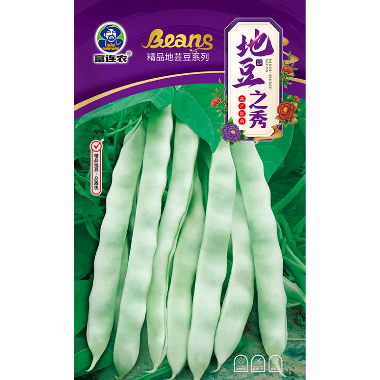 富连农地豆之秀不搭架芸豆种子