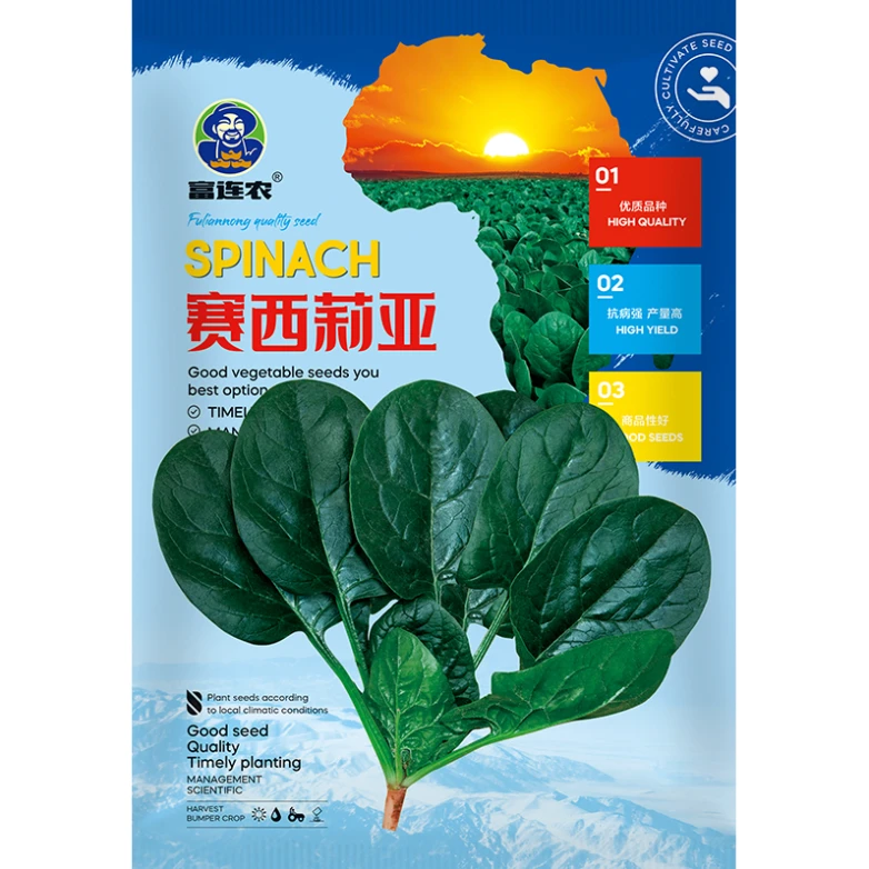 赛西莉亚大叶菠菜种子