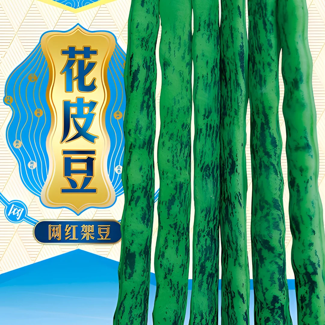 富连农花皮豆高产早熟八月忙芸豆种子（包装随机发）