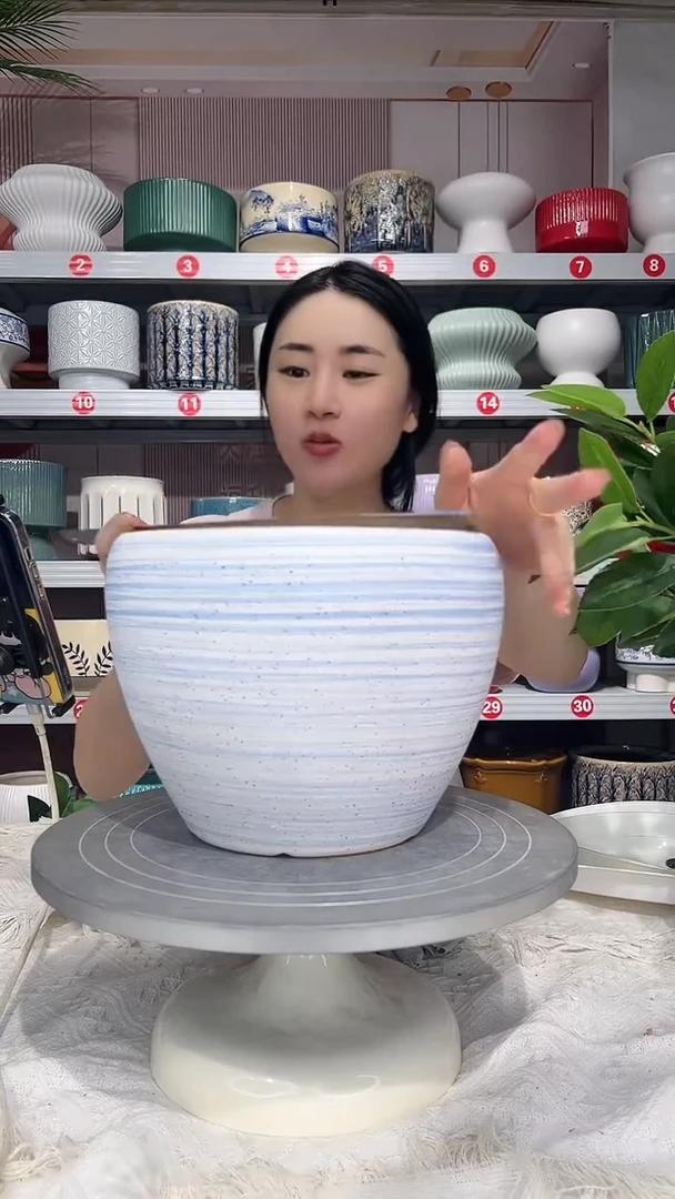 【闪购商品】陶瓷20CM以下高温陶瓷花盆-白水星中
