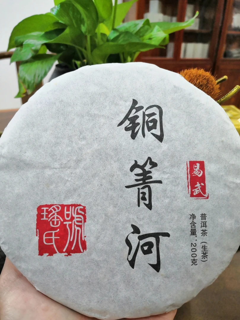2020年云南易武普洱茶山头茶乔木头春 铜箐河