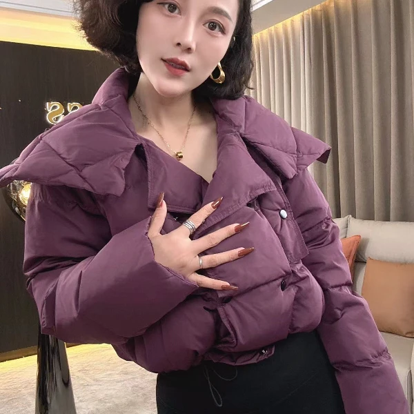 【耿老板】小欧风大翻领时尚羽绒服小个子穿搭女精致小短款1245#