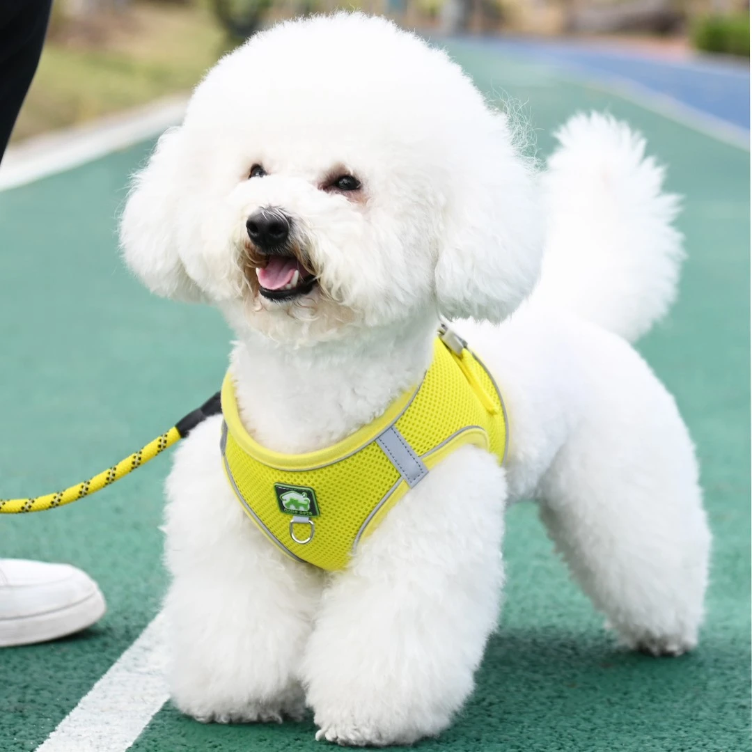 狗狗牵引绳小型犬背心式遛狗绳子泰迪比熊狗绳牵引绳透气夏天爆款