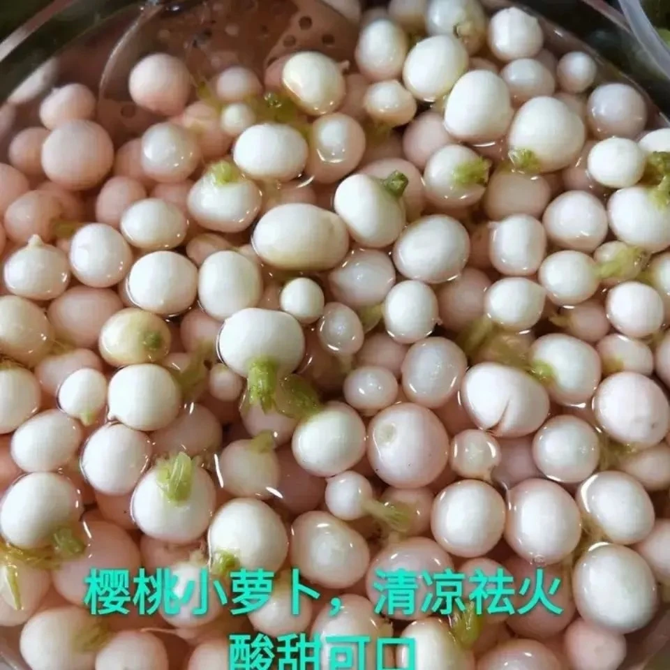 南特产 水泡萝卜 樱桃小萝卜 迷你小萝卜 泡酸萝卜腌制泡菜