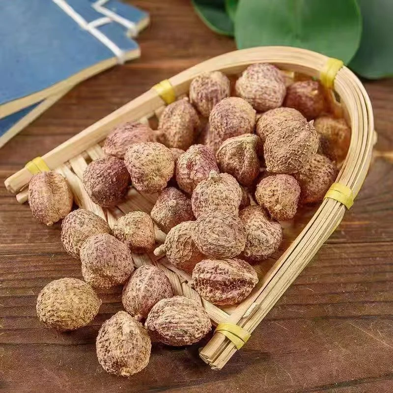 新鲜砂仁果野外环境生长高山砂仁干货非野生纯天然炖汤泡酒泡水