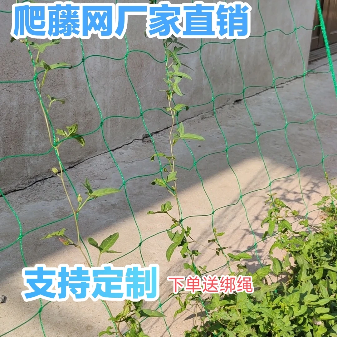 园艺爬藤网百香果葡萄黄瓜网菜园花卉豆角月季植物网尼龙网搭架网