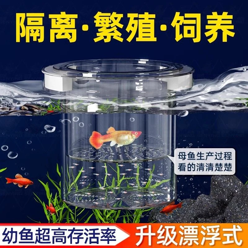 孔雀鱼金波子异型鱼悬浮漂浮孵化盒隔离盒繁殖罐母鱼产房生产网