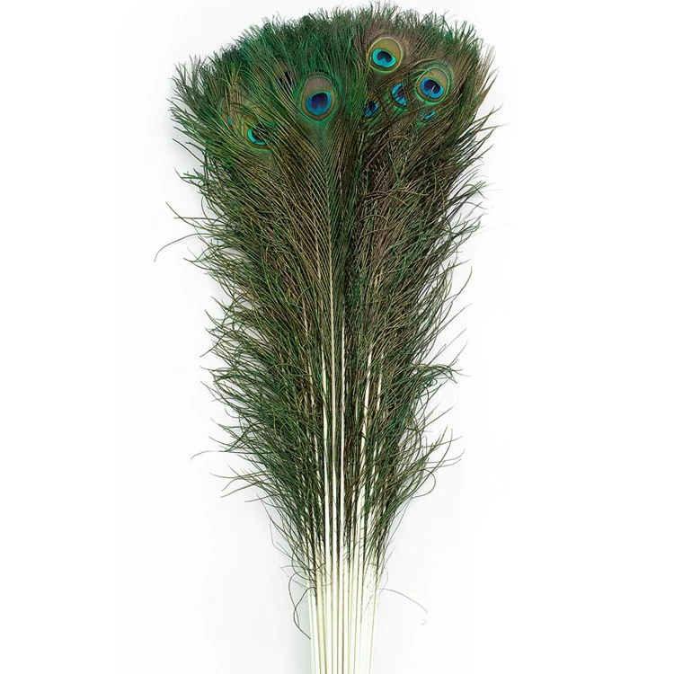 羽毛摆件孔雀羽毛90-100客厅装饰10根高档摆件用品新中式手工挑选