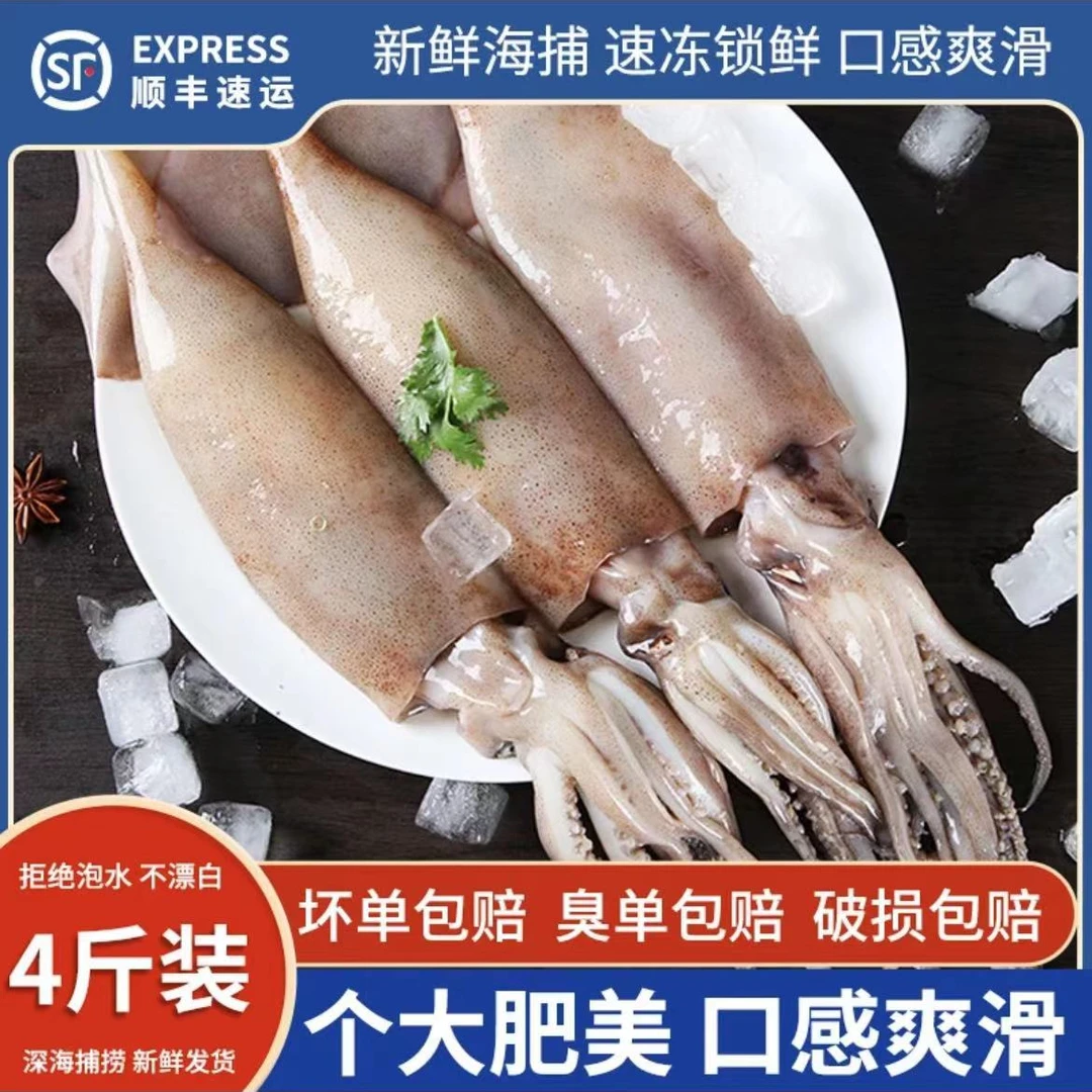 新鲜深海鱿鱼4斤无冰新鲜海捕速冻发货