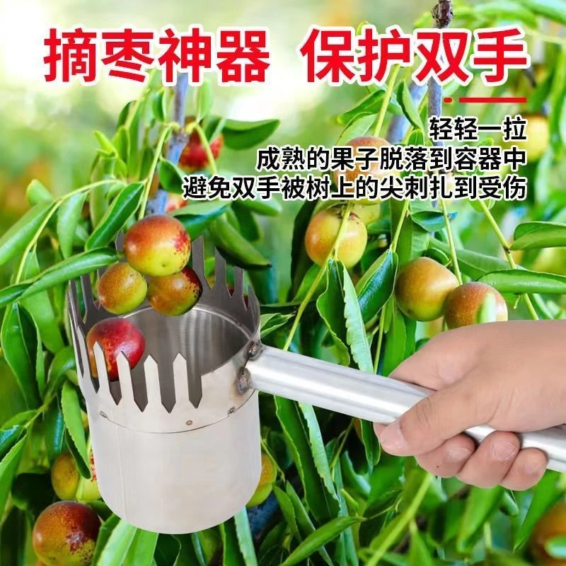 【2024新款】酸枣摘果器 加厚耐用型防洋辣子不扎手摘酸枣工具优质