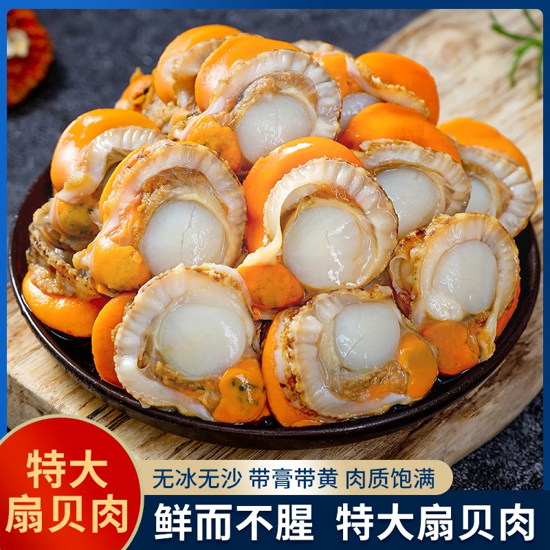 英里岛速冻扇贝肉  1.5KG*1盒     干净无沙味道鲜甜个大肥美