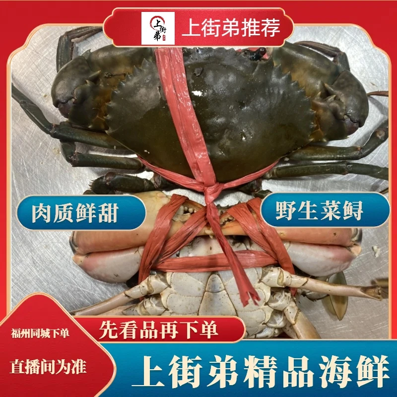 【上街弟海鲜】 天然菜鲟 肉多肥美 肉质鲜嫩 新鲜到家