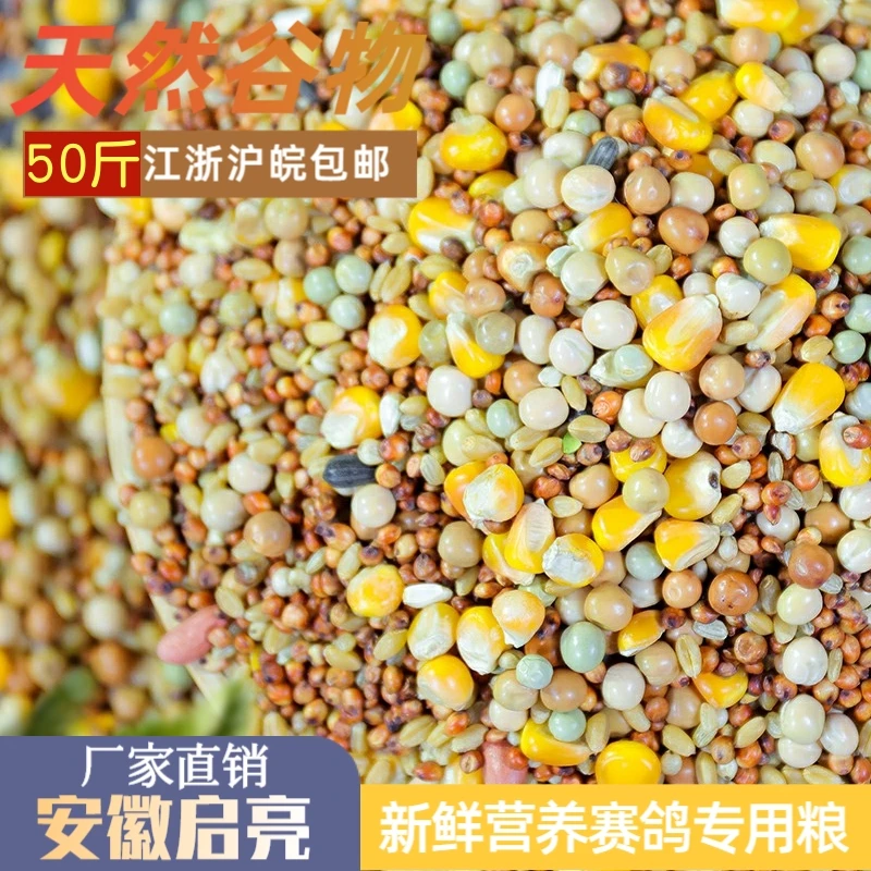 启亮鸽粮营养b信鸽赛鸽观赏鸽专用饲料鸟食全国包邮