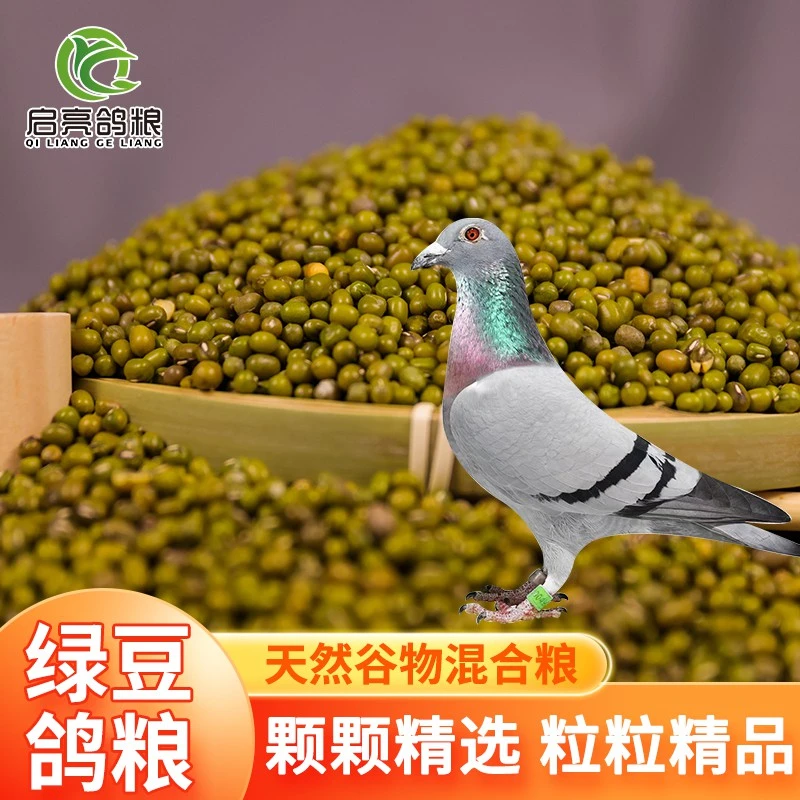 精选绿豆信鸽赛鸽观赏鸽中小型鸟类鸟食饲料2.5kg包邮