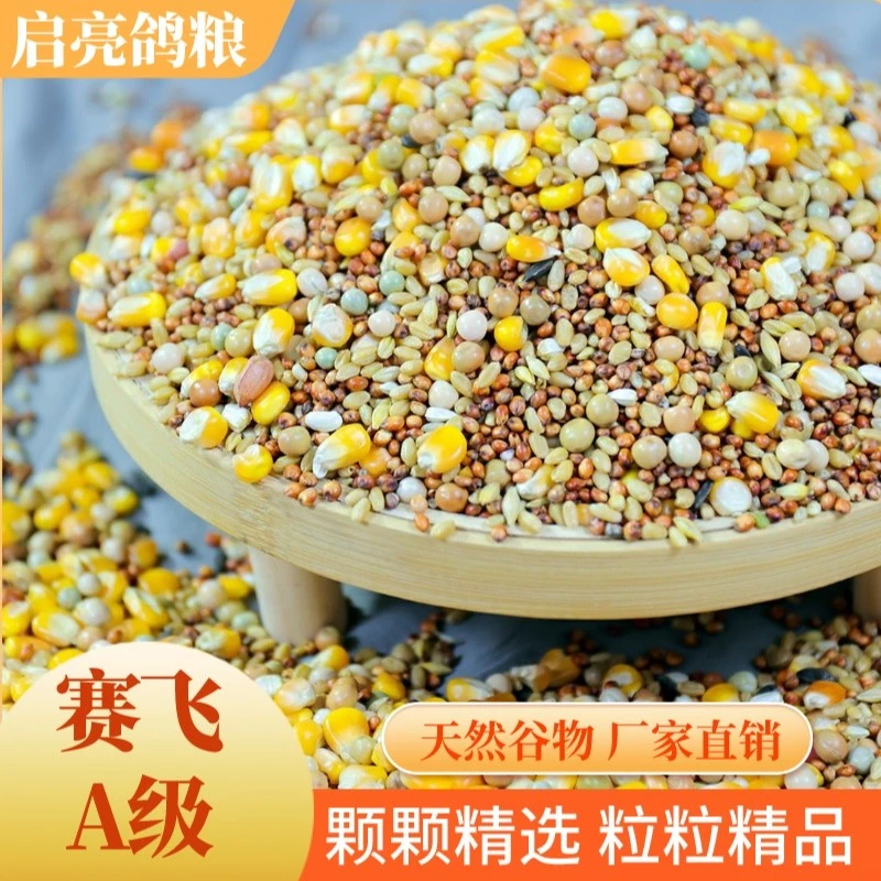 赛飞基础粮有玉米鸽粮信鸽赛鸽观赏鸽专用饲料鸟食全国包邮
