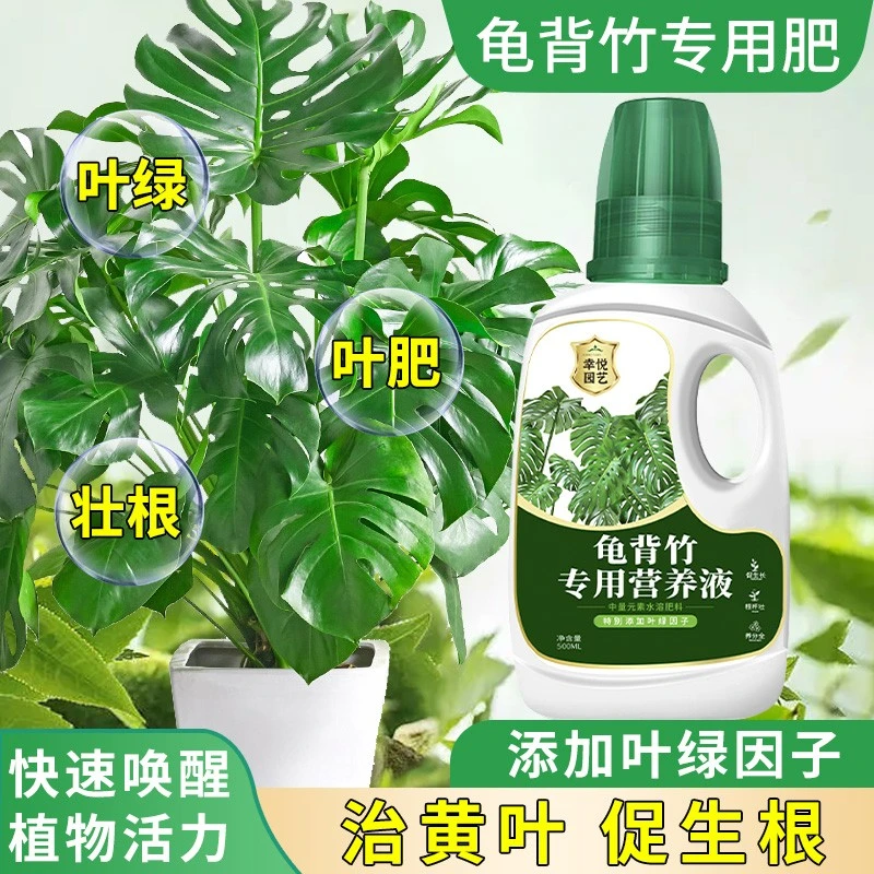 龟背竹专用浓缩营养液竹科水培土培盆栽专用卷叶烂根液体肥叶面肥