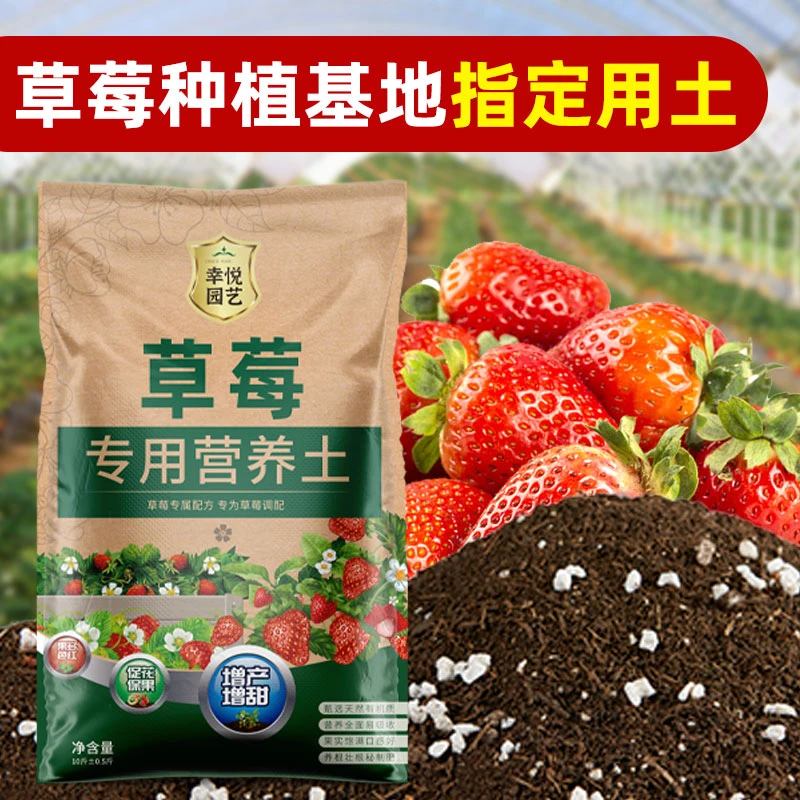 草莓专用土营养土草莓盆栽育苗土壤泥碳土种植土阳台草莓专用肥料