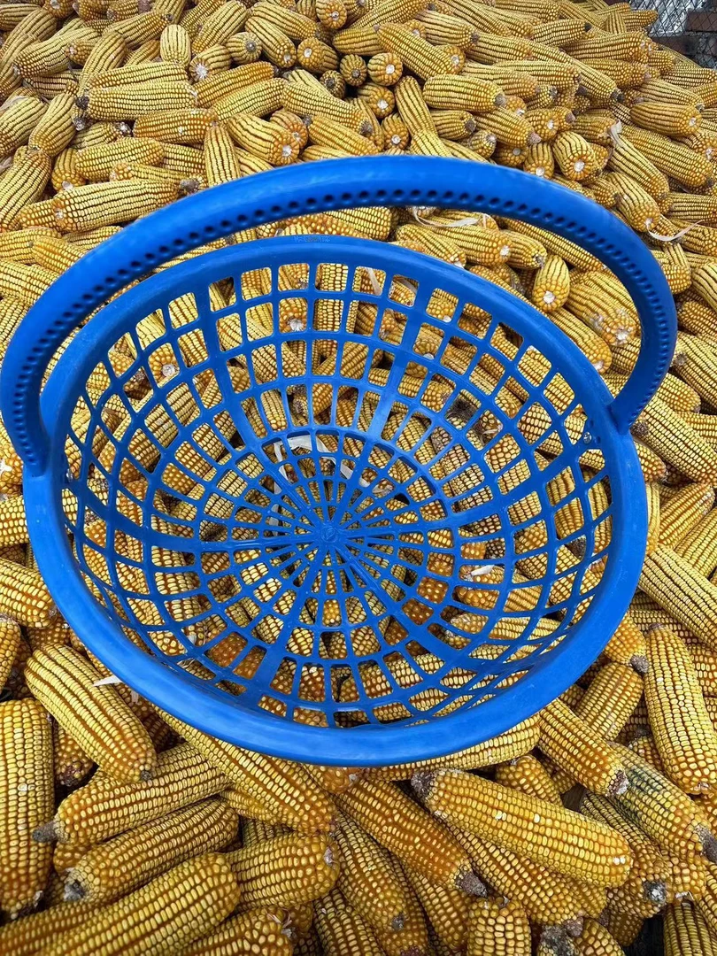 农用工具土篮子尼绒塑料结实耐用园艺工具