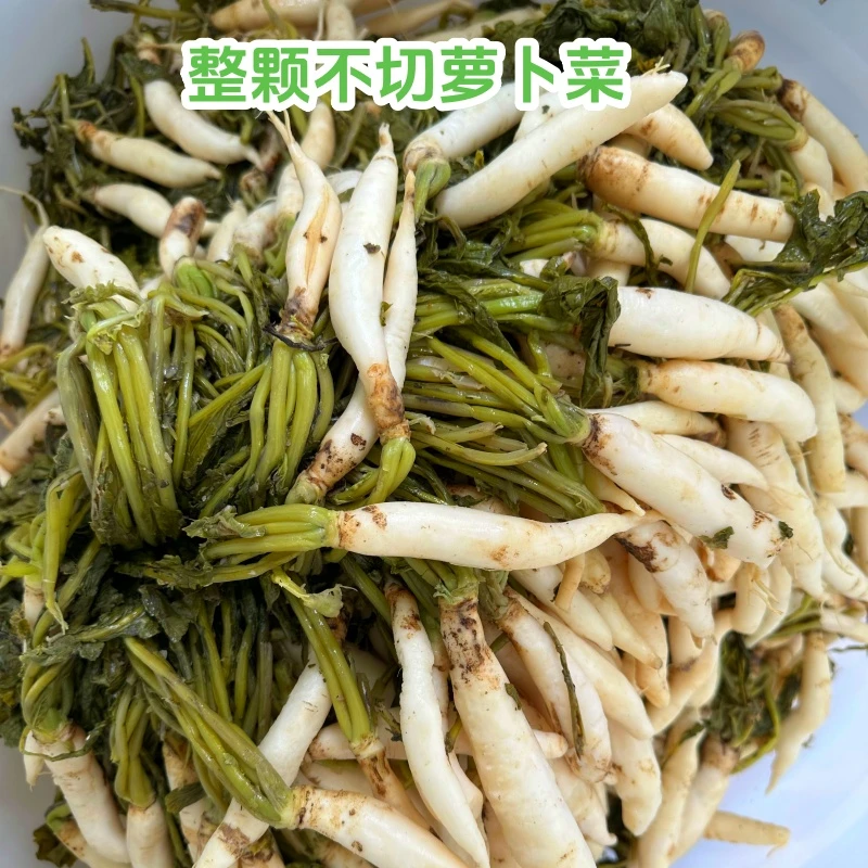 广西钦州灵山特产萝卜菜萝卜苗萝卜尾农家腌制酸菜涪陵榨菜