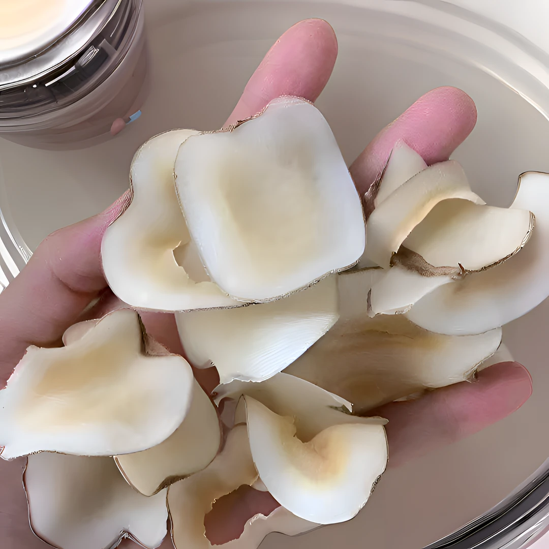 天然海底椰片清香原味煲汤食材可搭枸杞炖汤