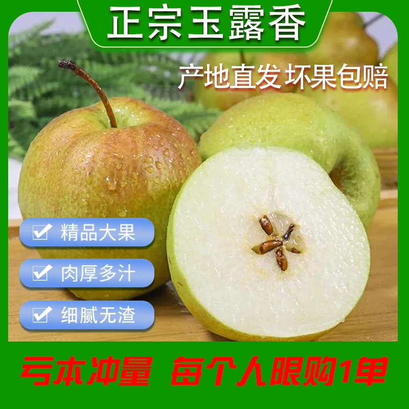 正宗山西玉露香梨原产地口感脆甜多汁皮薄细腻无渣精选新鲜孕妇果