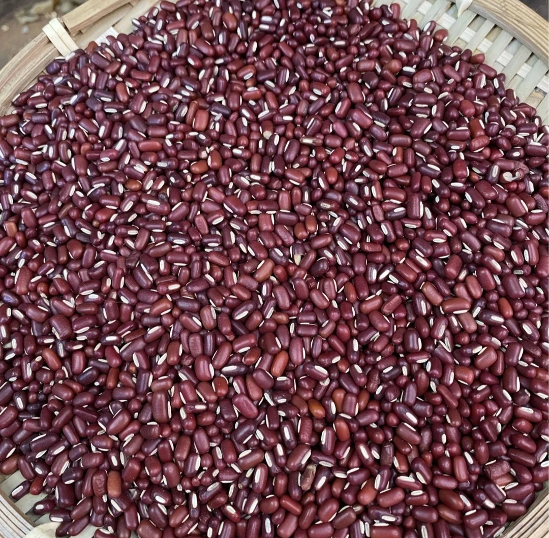 【赤小豆】农家好物推荐