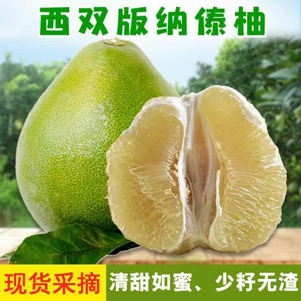 真便宜】傣柚东试早柚子青柚新鲜孕妇大果商超翡翠珍珠蜜柚白肉甜