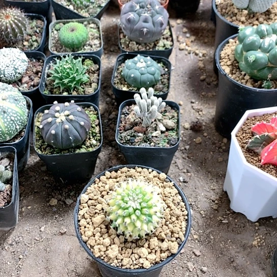 【闪购商品】111111