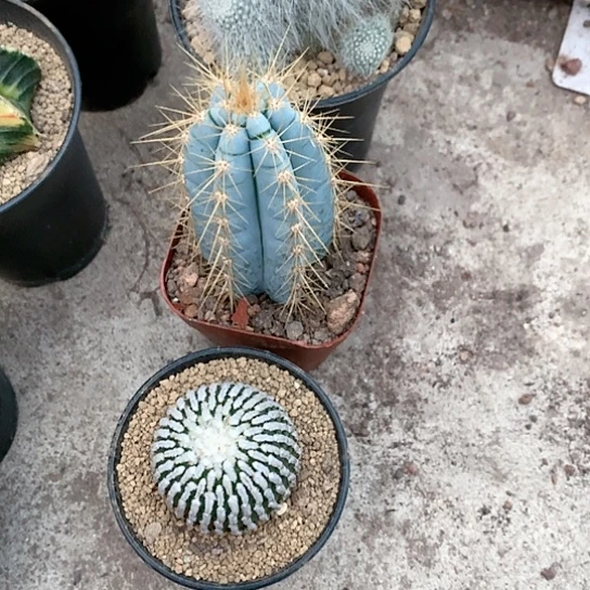 【闪购商品】?****?333333