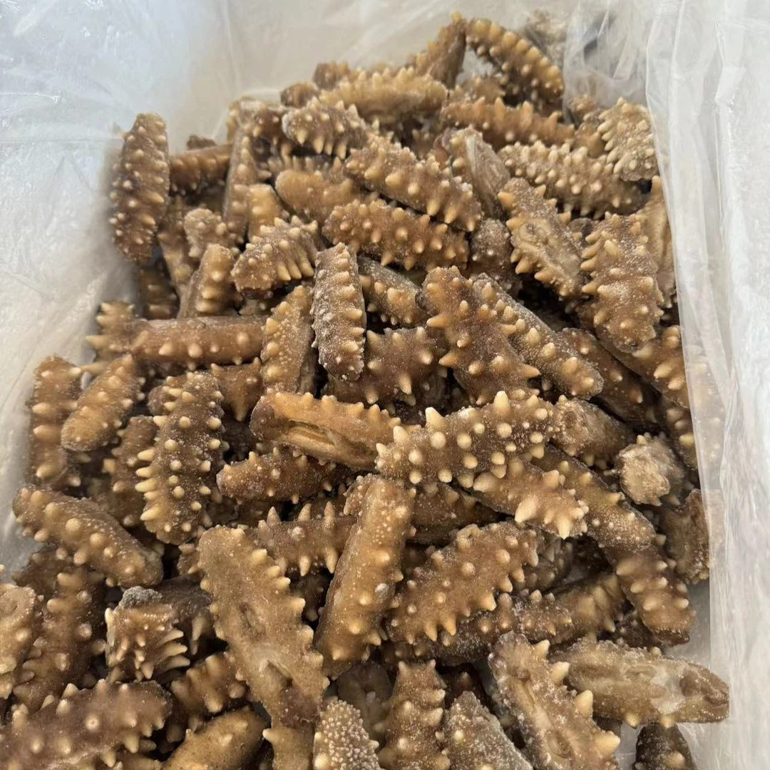 【即食海參Q弹口感】本土海参14-16/500g  新鲜无添加 大连直发