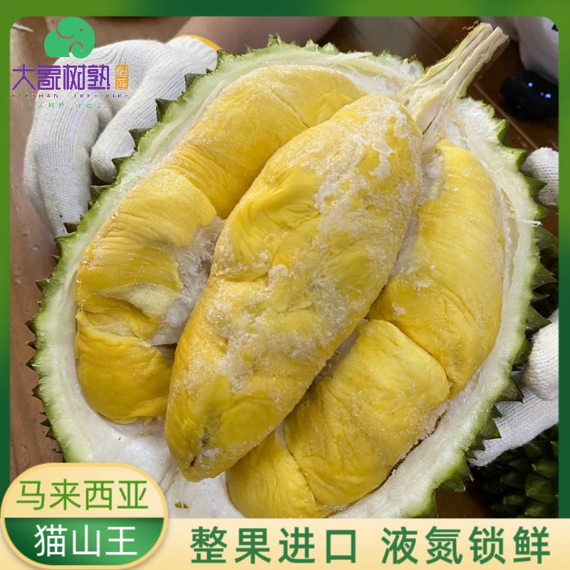 【民治】【液氮猫山王1.5-5kg 】马来西亚猫山王鲜榴莲肉厚核小【大象树熟榴莲】黑刺马来西亚