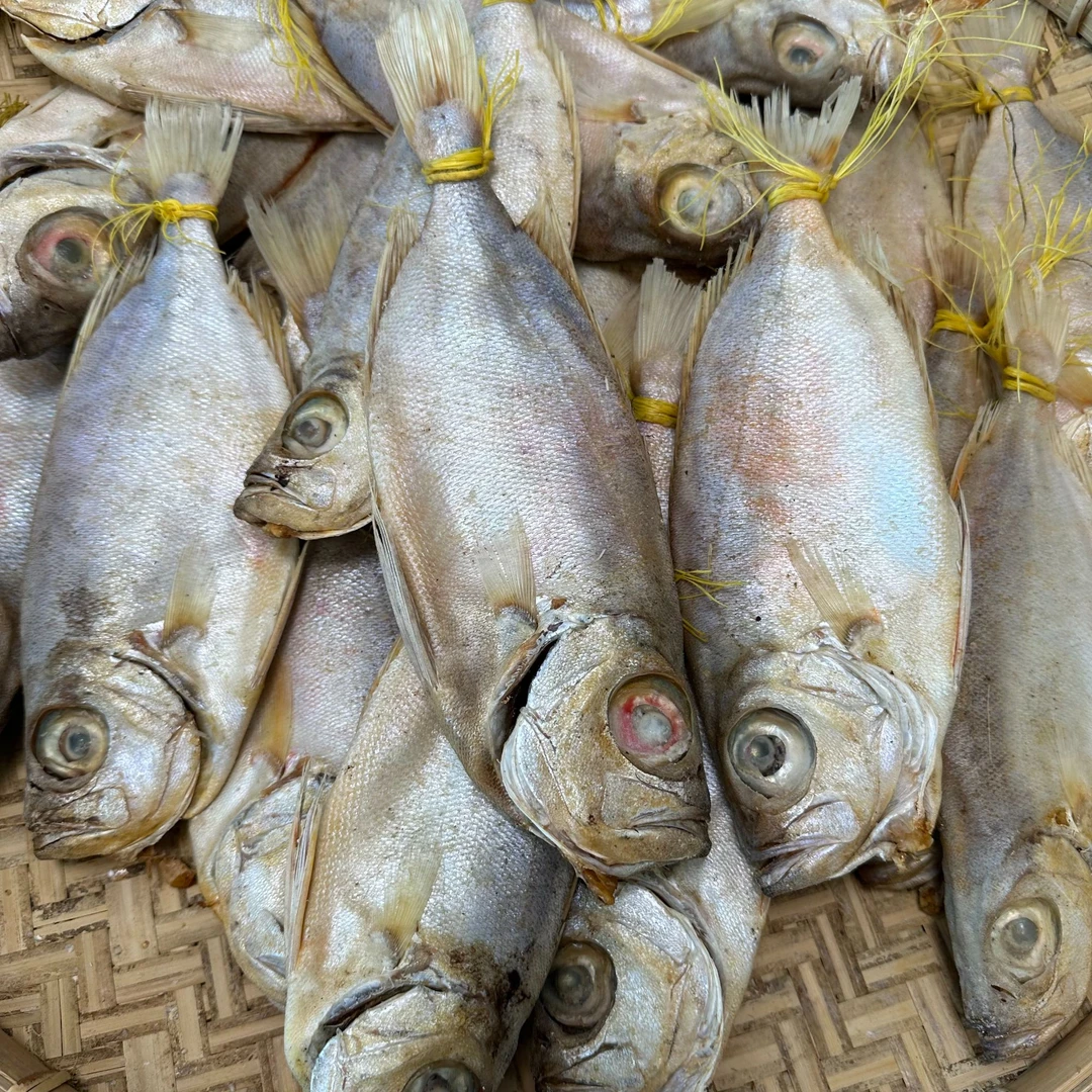 【单拖就船红目娘咸鱼脯】