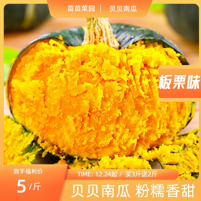 【正宗】贝贝南瓜板栗味5斤粉糯香甜养生健康粗粮孕妇宝宝辅食