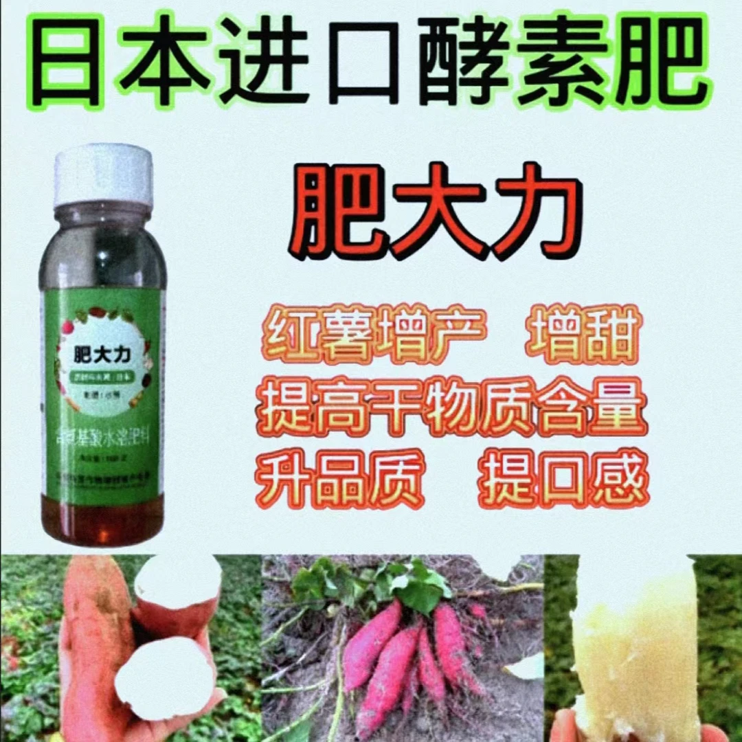 肥大力红薯增甜增加淀粉含量专用叶面肥
