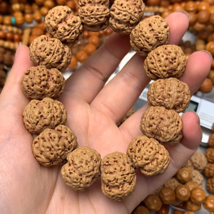 大金刚飞碟梅花21mm金刚菩提手串尼泊尔大金刚爆肉飞碟桩2.1