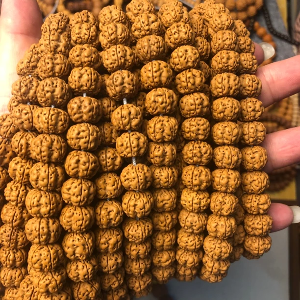 【霸王花】小金刚108颗12mm金刚菩提手串深沟爆肉帝王花