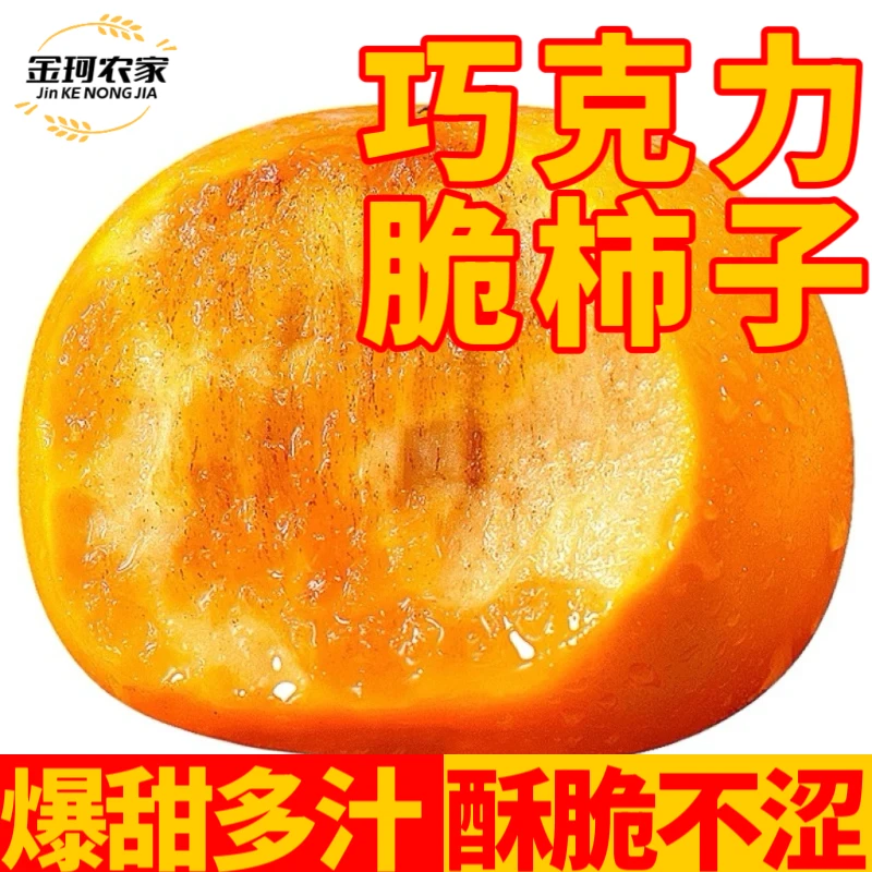 阳丰山西巧克力脆柿子果王 5 斤礼盒装现摘现发冰糖心包邮新鲜