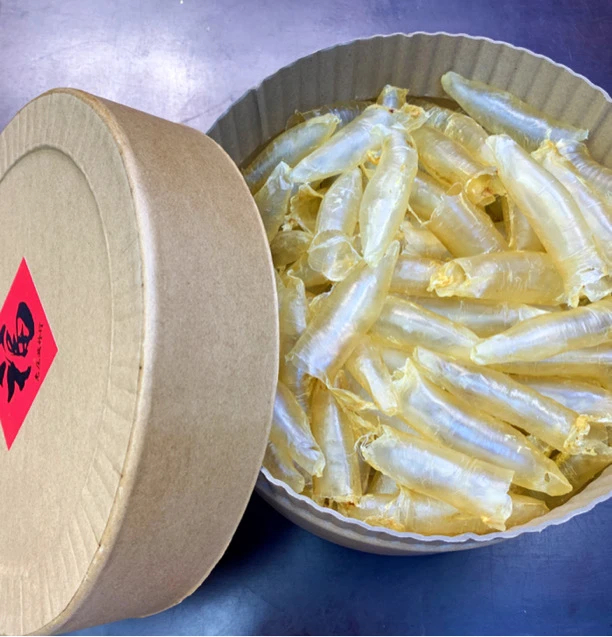 190头蜘蛛母筒鱼胶500g