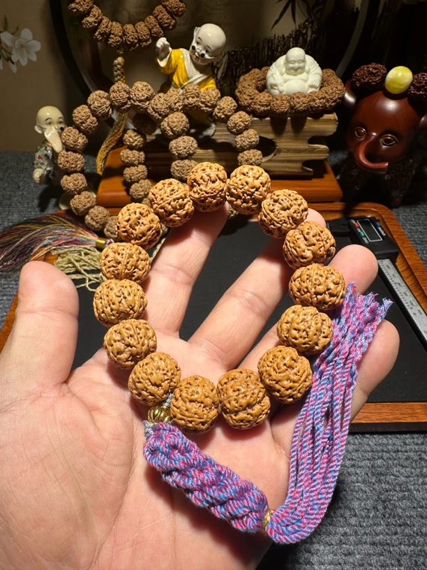 五瓣梅花桩型金刚菩提 满肉满蜂窝 直径19-20mm