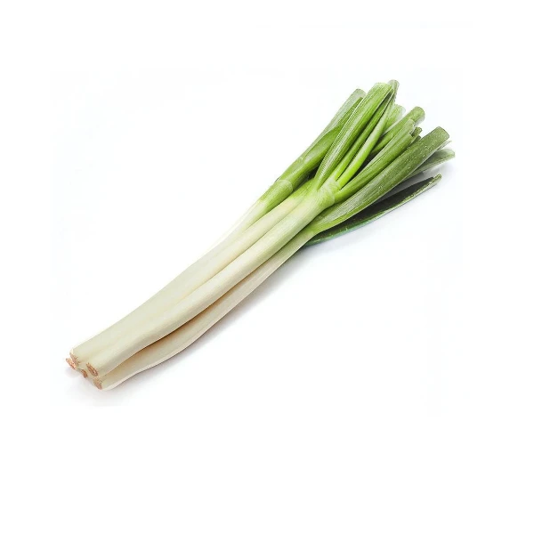 【折扣钜惠】大葱/大白葱约250g