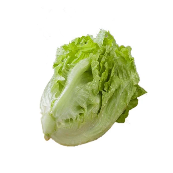 生菜 约250g