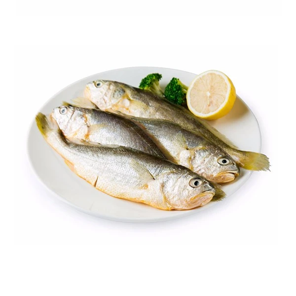 冰鲜小黄鱼 约250g