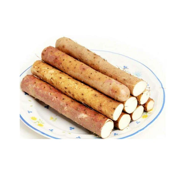 铁棍山药 约600g