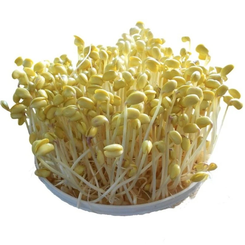 黄豆芽 约150g