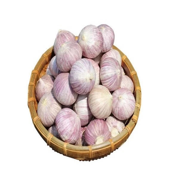 独头蒜 约250g
