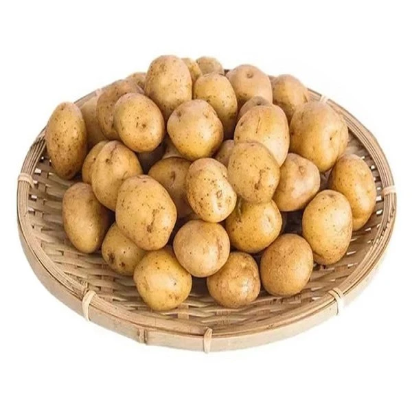 土豆 约500g土豆同城配