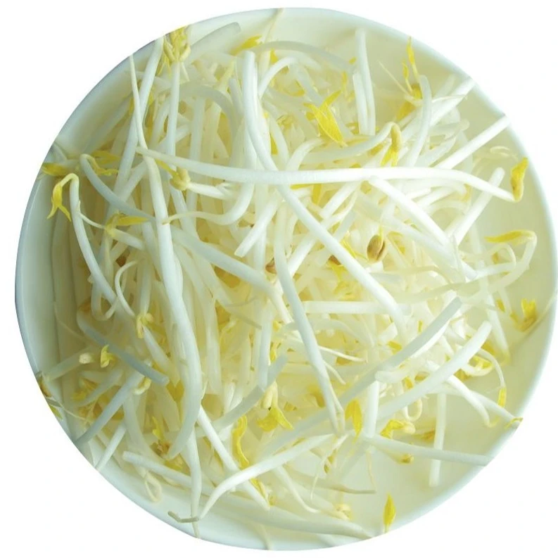 【折扣钜惠】绿豆芽 约500g